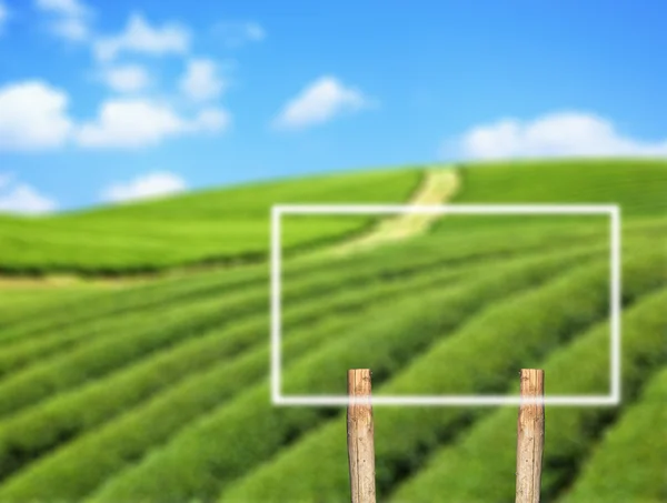 Teefarm leere Zeichen Verkauf Land — Stockfoto