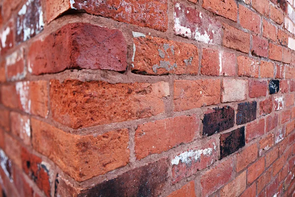 Brick wall corner — Stock Photo, Image