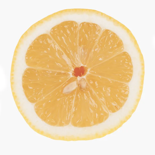 Single Fresh Lemon Slice — Stock Photo, Image