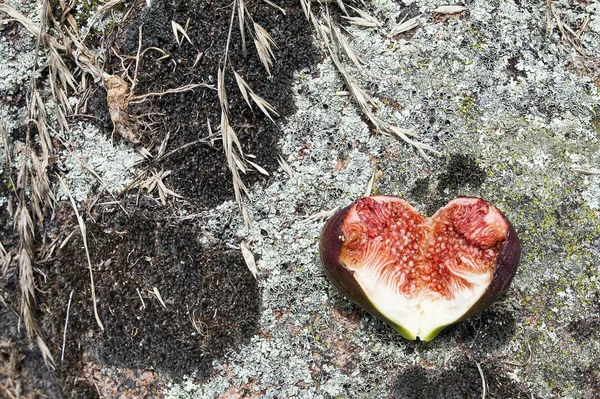 Fig heart