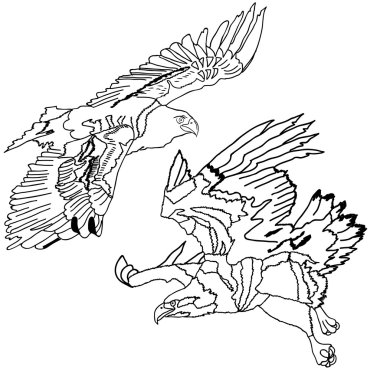 Eagles symbols and tattoo illustration.
