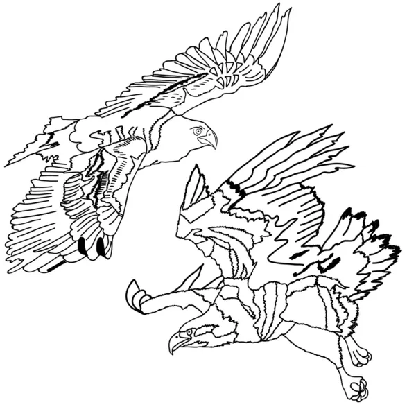 Eagles symbols and tattoo illustration. — 图库照片