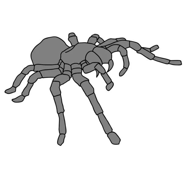 Blom arka planında dövme örümceği tarantulası — Stok fotoğraf