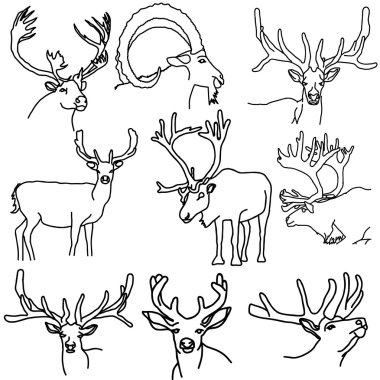 A set of deer, elk, and goats clipart