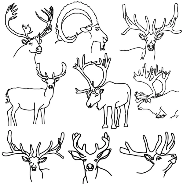 A set of deer, elk, and goats — Stock Photo, Image