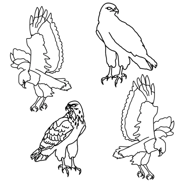 Eagles semboller ve dövme — Stok fotoğraf