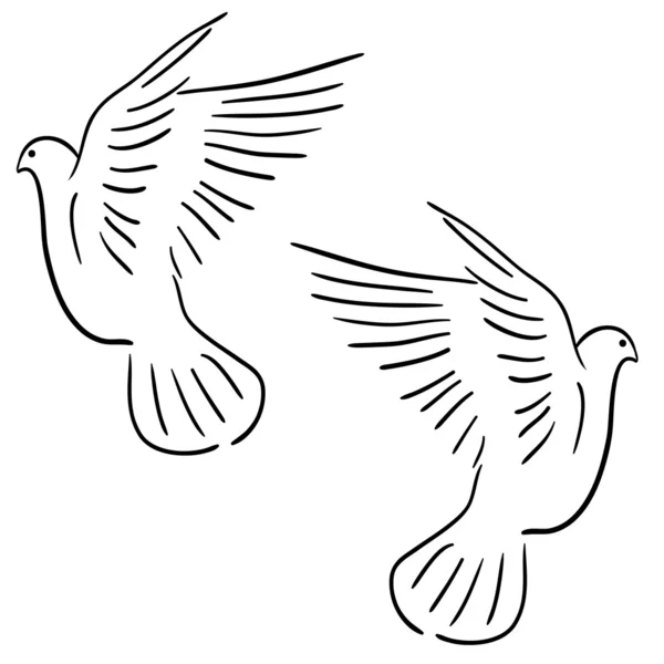 Set of white doves. — Stock Photo, Image