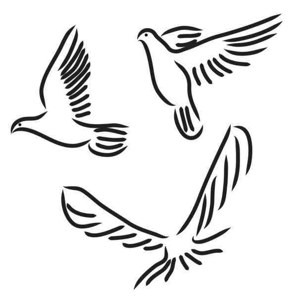 Set of white doves. — ストック写真