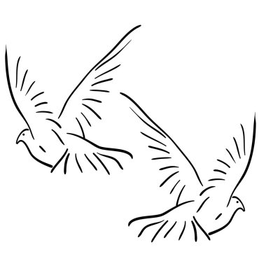 Set of white doves.