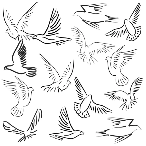 Set of white doves. — ストック写真