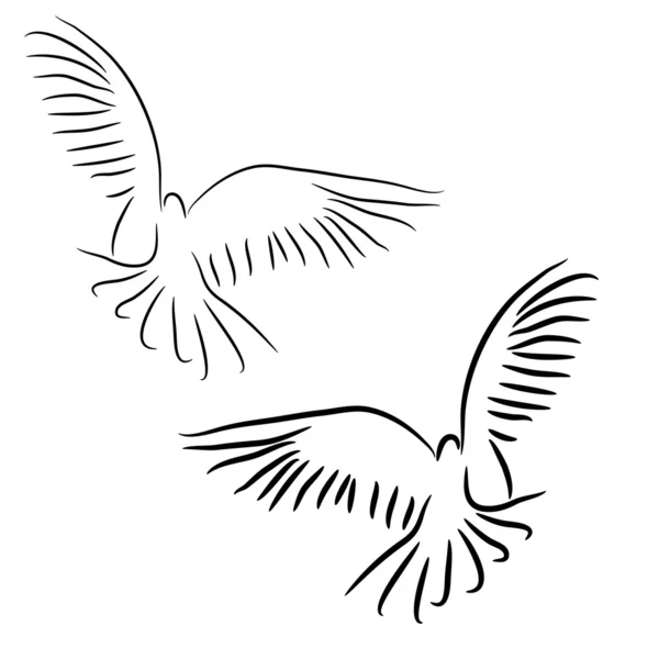 Set of white doves. — 스톡 사진