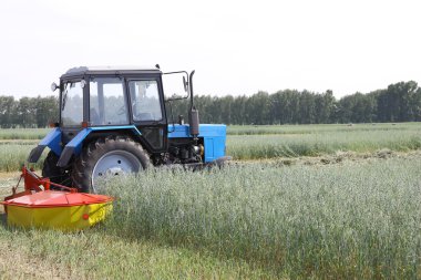 Tractor in a field, agricultural scene in summer clipart