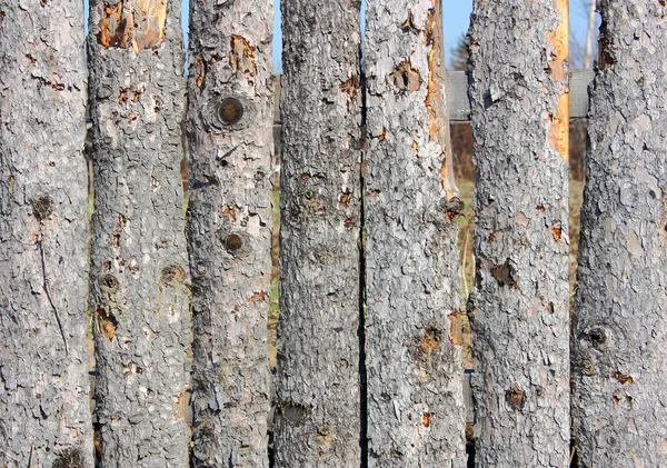 Ogrodzenia drewniane panele z bliska — Zdjęcie stockowe