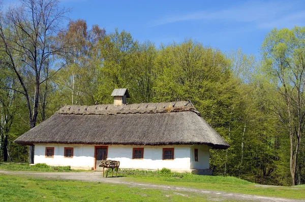 Dorpshuis in omgeving met forests, ouderwetse Oekraïense hut — Stockfoto