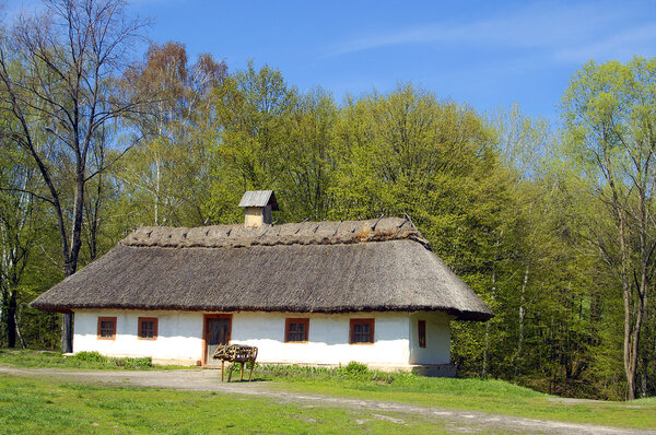 Village house in forest environment, old-fashion Ukrainian hut