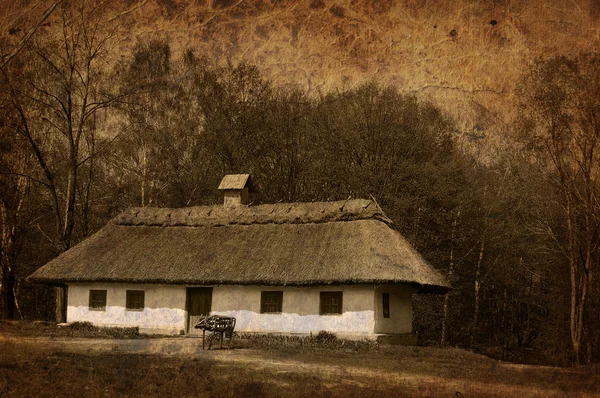 Orman ortamında köy evi, — Stok fotoğraf