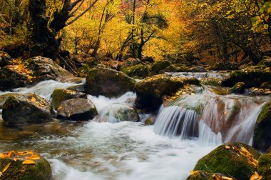 sonbahar Kırım grand canyon