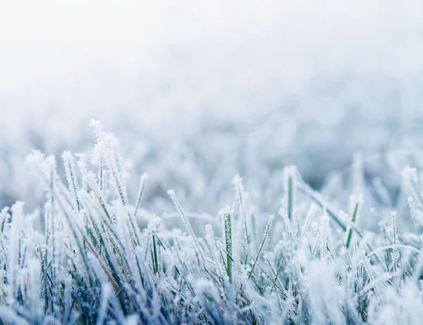 Winter background with copy space — Stock Photo, Image