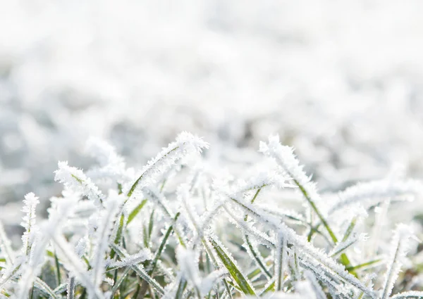 Frosty background with copy space — Stock Photo, Image