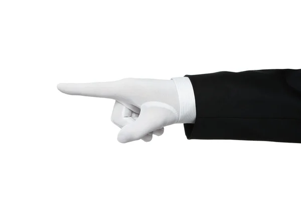 Elegantní lidská ruka ukazující — Stock fotografie
