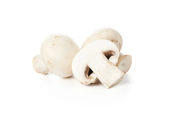 Ciuperci proaspete — Fotografie, imagine de stoc