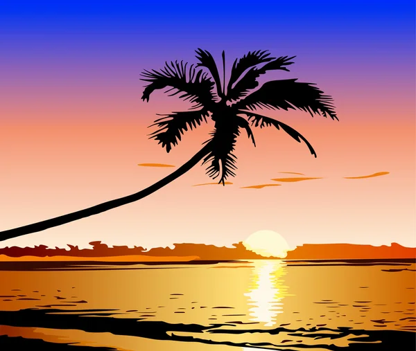 Красивый закат на пляже — стоковый вектор