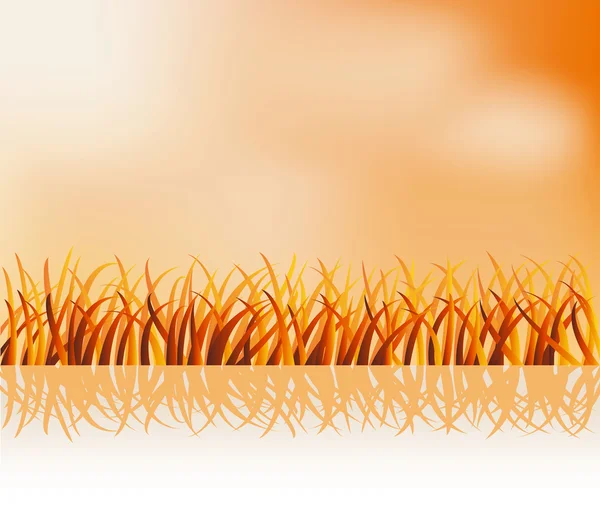 ภาพสะท้อนจากหญ้า — ภาพเวกเตอร์สต็อก