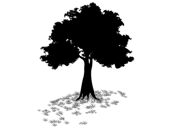 Tree silhouetted vector — Stock Vector