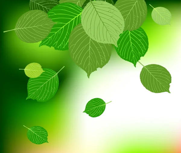 Groene bladeren achtergrond door vector — Stockvector