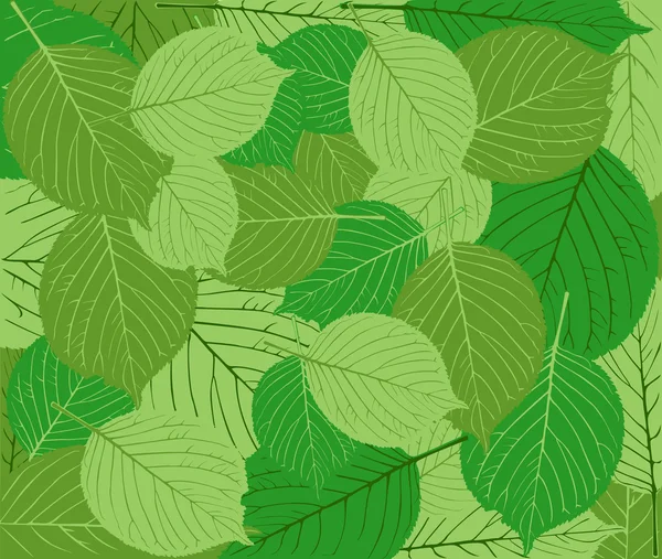 Printemps feuilles vert fond — Image vectorielle
