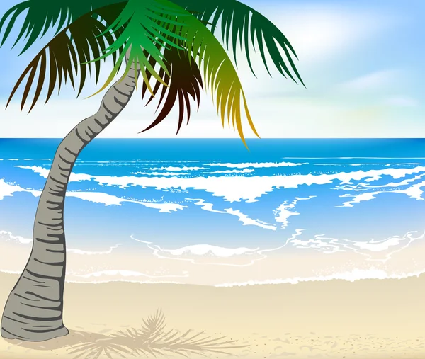Les belles plages — Image vectorielle