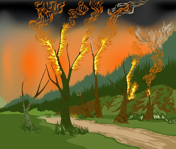 Incendio forestale — Vettoriale Stock