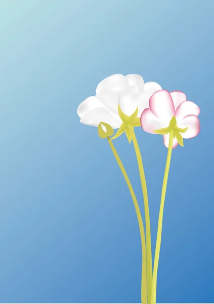 Blume — Stockvektor