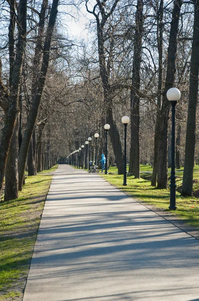 Avenue w parku kadriorg, wczesną wiosną — Zdjęcie stockowe