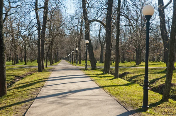 Avenue dans le parc Kadriorg, au début du printemps — Photo