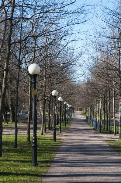 Авеню в парке Кадриорг, ранней весной — стоковое фото