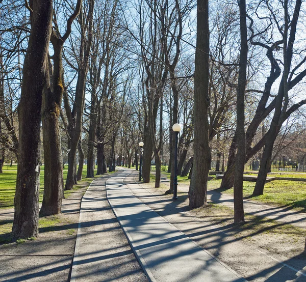 Avenida no parque Kadriorg, no início da primavera — Fotografia de Stock