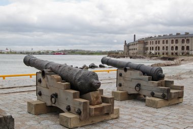 Ancient guns on a background of a fortress at the sea clipart