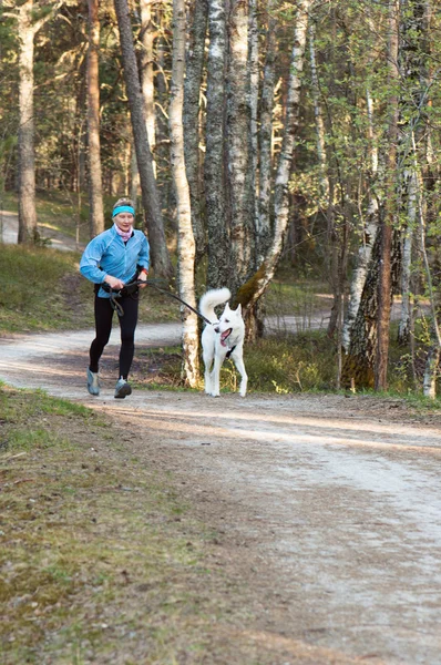 The sports woman with a dog run in park — Stock Photo, Image