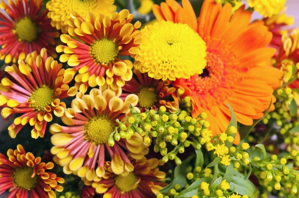 Un mazzo di fiori estivi, primo piano — Foto Stock