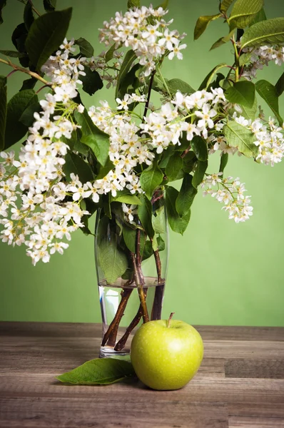 Bouquet of a blossoming bird cherry in a vase on a table — Stock Photo, Image
