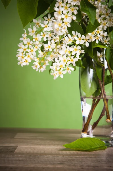 花瓶をテーブルの上で鳥桜の開花の花束 — ストック写真