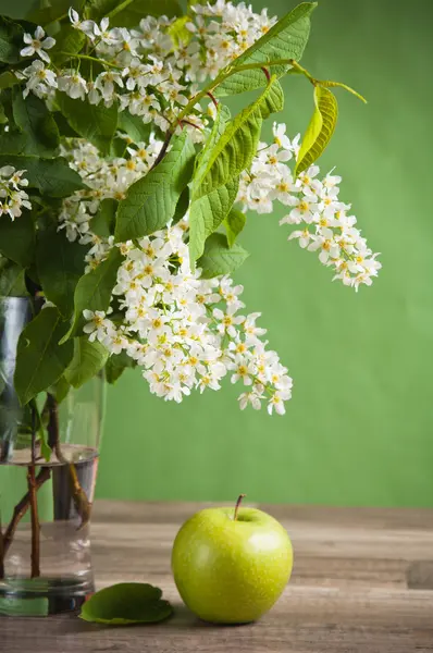 Bouquet di una ciliegia di uccello fiorente in un vaso su un tavolo — Foto Stock