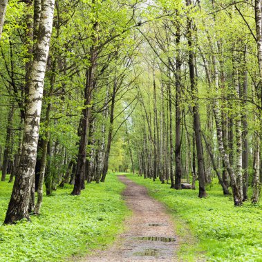 Spring Park 'taki güneş ışığı sokağında aydınlandı.