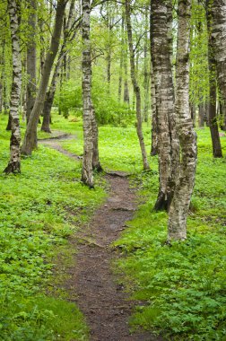 Spring Park 'taki güneş ışığı sokağında aydınlandı.