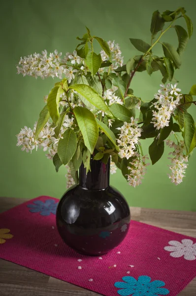 Bouquet of a blossoming bird cherry in a vase on a table — Stock Photo, Image