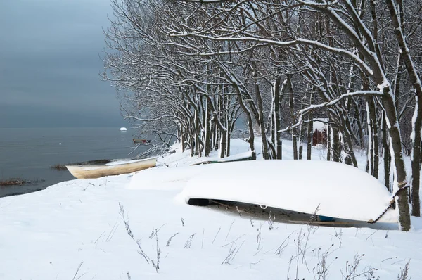 海の海岸に冬の風景 — ストック写真