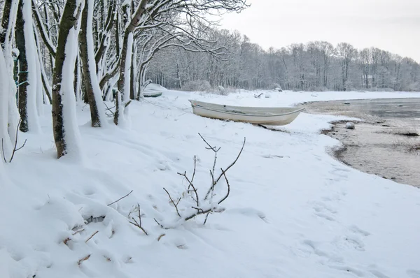 Winter landscape on the shore of the Sea — Stock Photo, Image