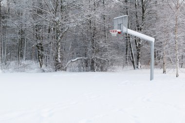 Basketbol zemin