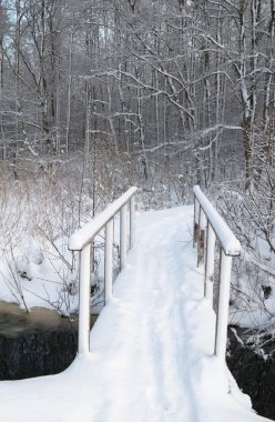 Köprünün üzerinden akışı winter Park